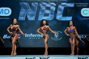 WELLNESS НОВИЧКИ